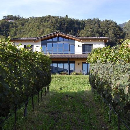 B&B Il Vigneto Melano Ngoại thất bức ảnh
