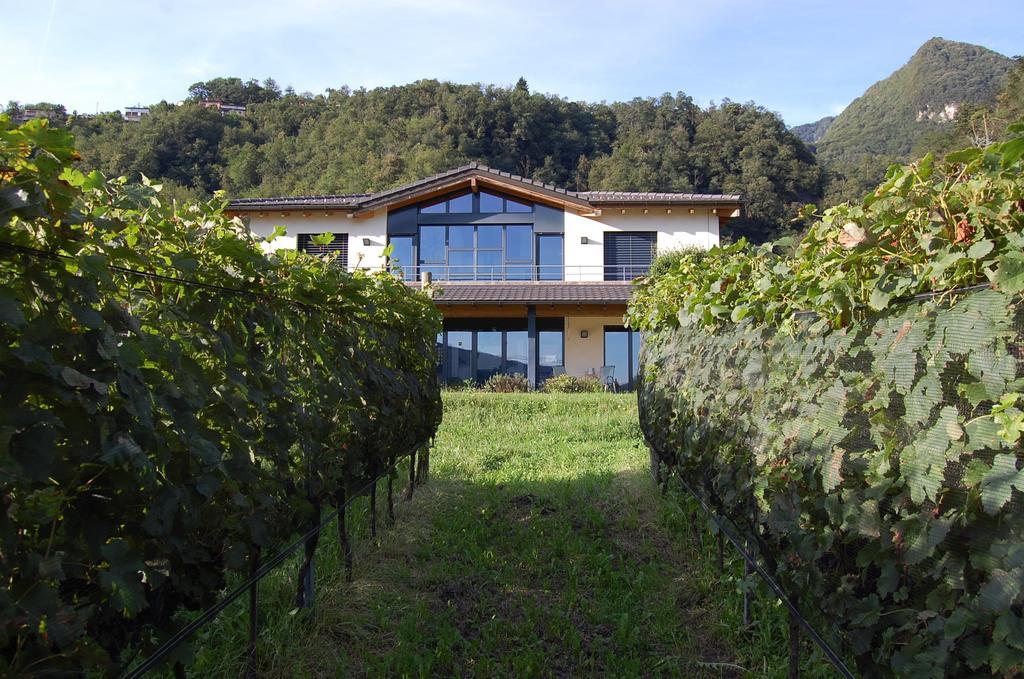 B&B Il Vigneto Melano Ngoại thất bức ảnh